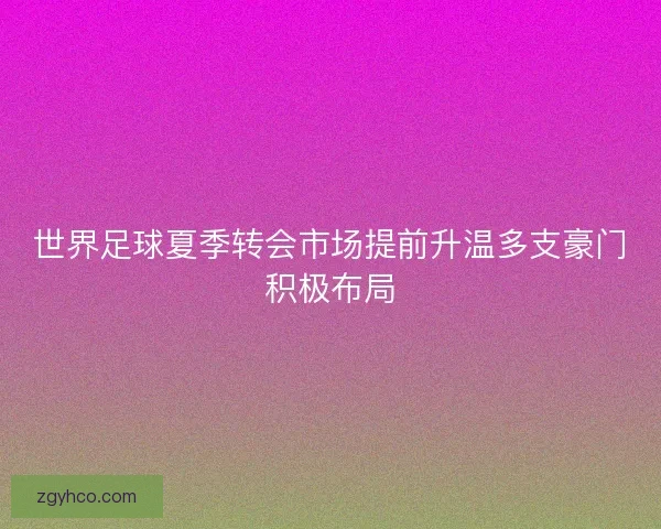 世界足球夏季转会市场提前升温多支豪门积极布局