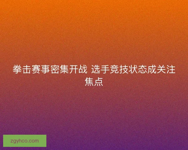 拳击赛事密集开战 选手竞技状态成关注焦点